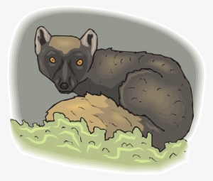 In The Last Century, We Lost Many Of Our Magnificent - Mammal #2240036