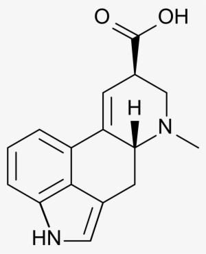 Lysergic Acid #2240721