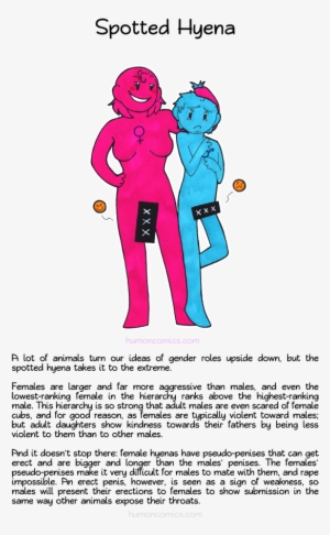 Spotted Hyena Humoncomics - Humon Animal Lives #2242361