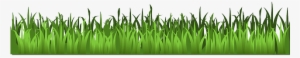 Grass-159804 640 - Transparent Background Grass Clipart #2242890
