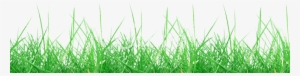 Grass Meadow Weed Transparent Background - Grass Transparent Background #2243162