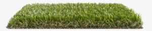 Imperial Turfgrass Psh - Lawn #2243256