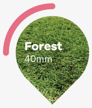Forest Artificial Grass - Portable Network Graphics #2243284