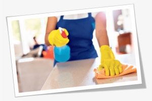 Cleaning Services Tilbury "cleaning Services Tilbury" - Top Glove Hhg7-s-cs Latex Household Gloves, Poly Chlorinated, #2243576
