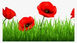 Free Poppy Cliparts, Download Free Clip Art, Free Clip - Poppies Clip Art #2244322