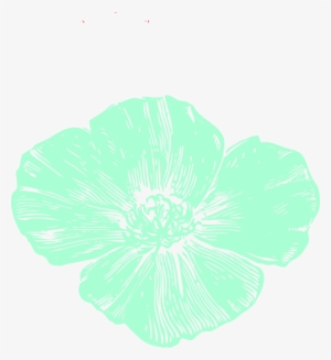 How To Set Use Mint Poppy Clipart #2244323