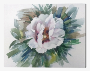 Watercolor Flower Collection - Watercolor Painting #2244498