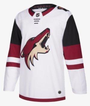 1 / - Arizona Coyotes Jersey Adidas #2244697