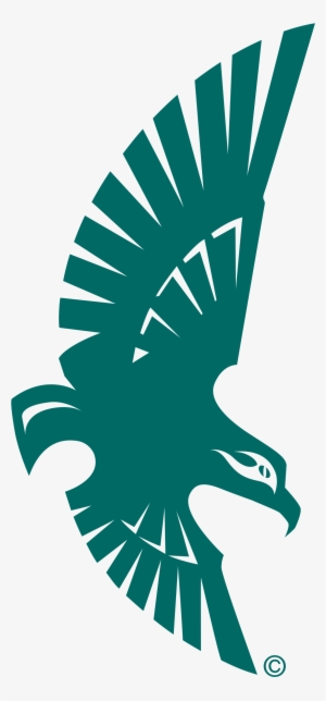 Soaring Seahawk Logo Png Transparent - Vector Kite Bird Logo #2245448