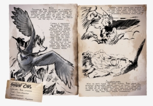 Deutsches Dino Dossier - Owl #2246007