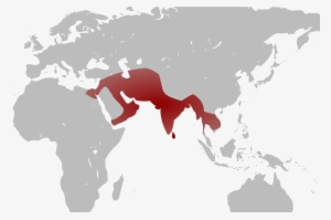 Without Border World Map #2250421