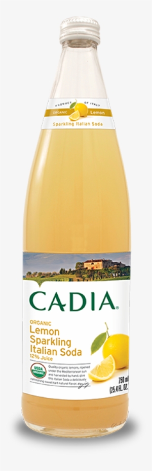 Organic Fruits Harvested By Hand At Their Peak Of Ripeness - Cadia #2250520