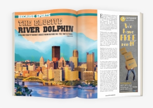 A Column From Pittsburgh's Biggest Miami Dolphins Fan - Cityscape #2251749