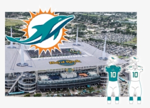 Miami Dolphins Opponent Of The Tampa Bay Buccaneers #2251839