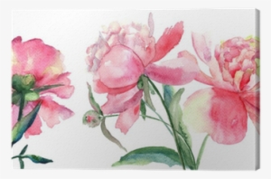 Beautiful Peonies Flowers, Watercolor Painting Canvas - Watercolor Painting #2254108