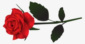 Rosas En Png - Phantom Of The Opera Rose Drawing #2254198