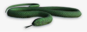 Smooth Greensnake #2256082