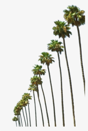 Harvey's - Steve Harvey #2257694