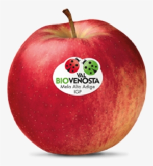 Topaz - Cassetta Di Mele Gala #2257969