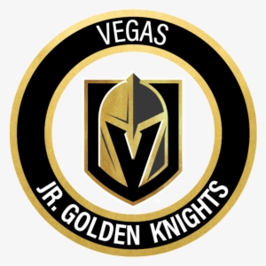 Long Term Athletic Development Flyer - Nhl Vegas Golden Knights Franklin Sports Street Hockey #2259416