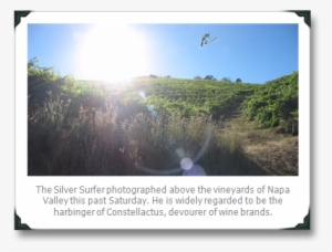 Surfer1 - Flat Panel Display #2259659