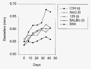 Ifn R / Mice Developed Arthritis Similar To That Of - Diagram #2263529