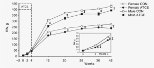 Body Weight In Control (con) Female And Male Fawn Hooded - Diagram #2264216