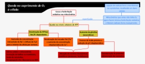 Lesão Por Hipóxia - Hipoxia Tecidual #2265376
