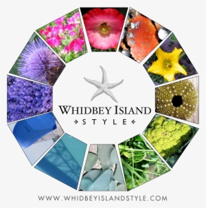 Wiscolorwheel2 - Whidbey Island #2265643