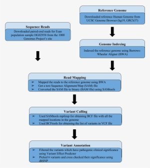 Final Project Document - Document #2266929
