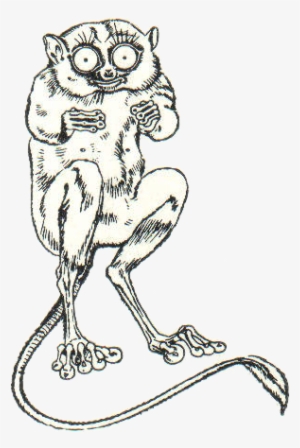 Kobold Maki 1 - Illustration #2268071