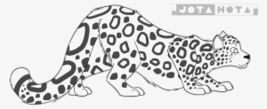 Transparent Base Snow Leopard Svg Black And White Download - Snow Leopard Base Transparent #2269059