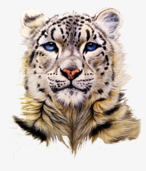 Snow Leopard Tiger Clouded Leopard Painting - Snow Leopard Head Drawing #2269106