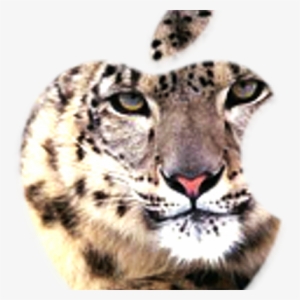 Snow Leopard Icon - Snow Leopard #2269176