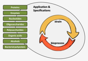 In This Regard, Biopolis Is The Perfect Partner To - Cell #2269464