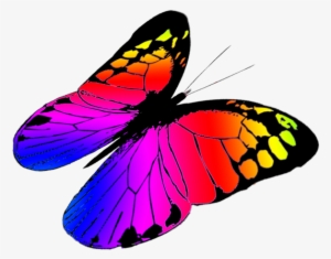 Monarch Butterfly Clipart Three - Colorful Butterflies Flying Png #2269722