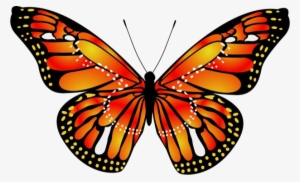 Beautiful Butterfly Sticker Pack Messages Sticker-8 - Blue Monarch Butterfly #2269969