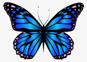 Blue Butterfly Png Clipar Image - Butterfly Png #2270161