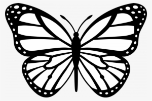 Coloring Pictures Of Flowers And Butterflies Images - Clipart Black And White Butterfly #2270195