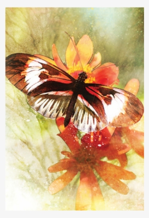 Inspirerende Affirmatiekaarten - Alana Fairchild #2270587