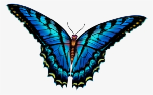 Butterfly #2270730 Butterfly #2270730