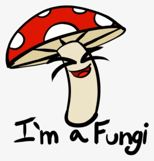 Picture Transparent Champagne Line Art Clip Transprent - Fungi Cartoon #2271853