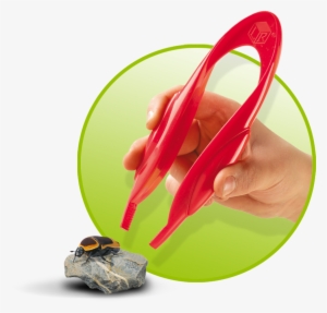 Magnifier &amp - Learning Resources Jumbo Tweezers Set Of 12 #2271949