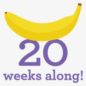 By Toys Babiesrus Messages - Braze #2271982