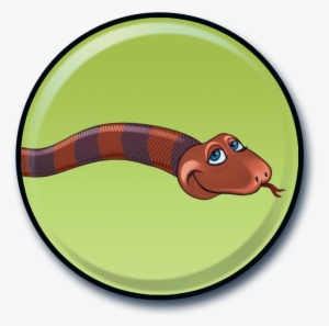 Fun Fact Snakes Have Rows Of Teeth - Snakes #2272838