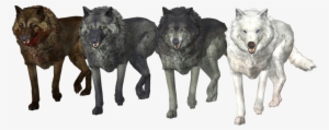 Wolf Pack Free Png Image - Pack Of Wolves Png #2275117