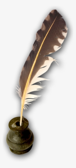 Pluma - Plumas Con Tinta Png #2277799