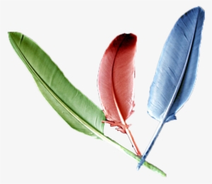 Las Tres Plumas - Memes Descifra El Mensaje #2277818