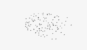 Bird Png Collection By Royal Rajput Like Page On Fb - Bird #2279111 Bird Png Collection By Royal Rajput Like Page On Fb - Bird #2279111