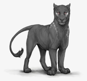 32nnrcc - Portable Network Graphics #2280143